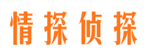 蓬溪市侦探公司